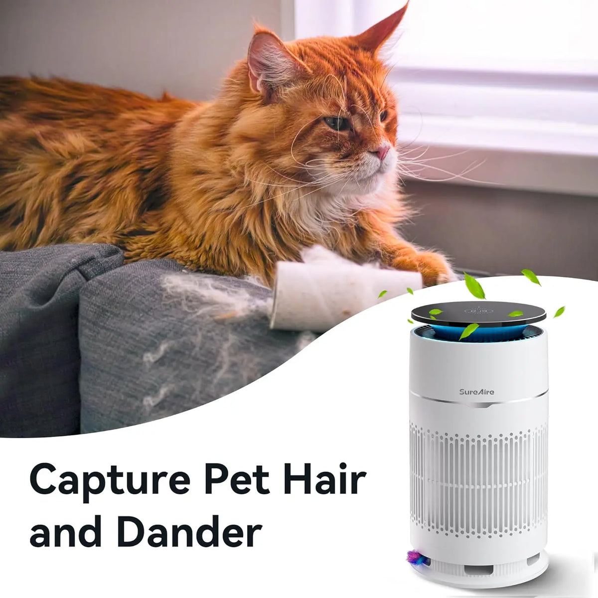 Cat Air Purifier with HEPA Filter, Desktop for Pet Hair Dander Odors, 360° Intake